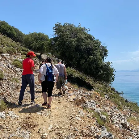 Hayat Bu, Boot Φετιγιέ