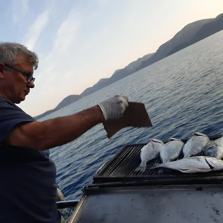 Hayat Bu, Boot * Φετιγιέ